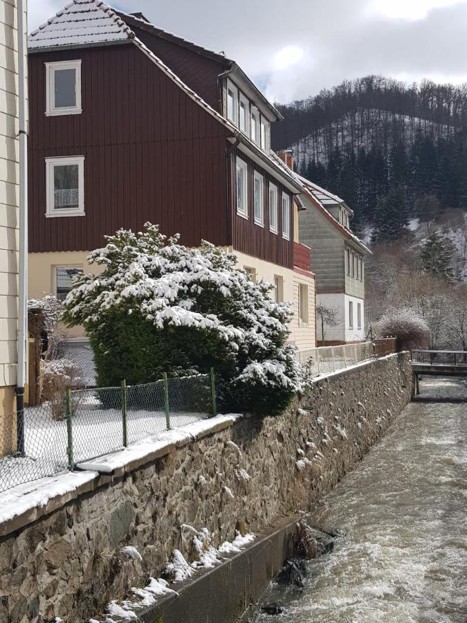 Ferienhaus Am Fluss Mit Traumhafter Dachterrasse ,Garten Und Grill Walkenried Exterior foto