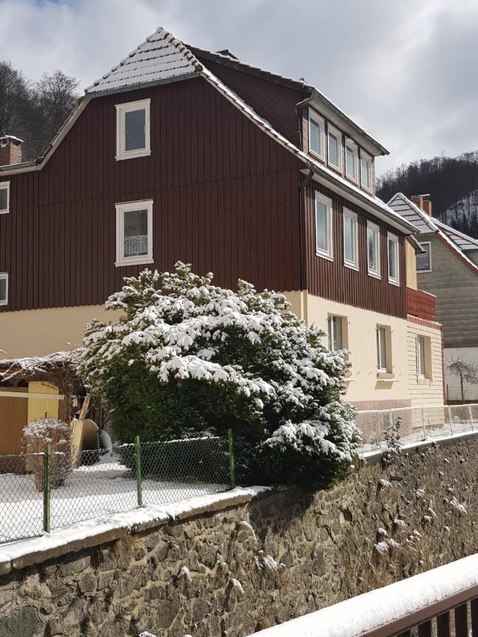 Ferienhaus Am Fluss Mit Traumhafter Dachterrasse ,Garten Und Grill Walkenried Exterior foto