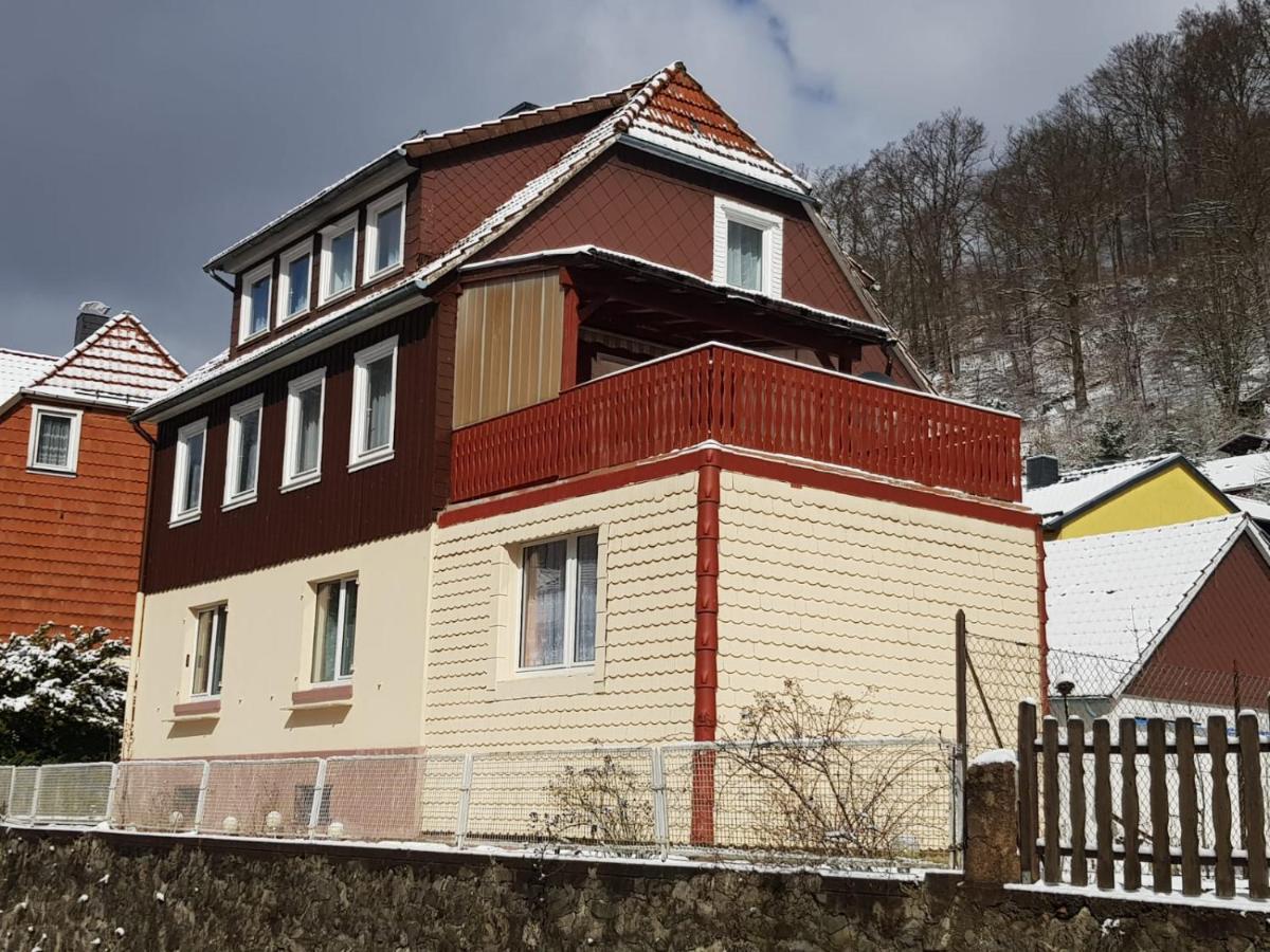 Ferienhaus Am Fluss Mit Traumhafter Dachterrasse ,Garten Und Grill Walkenried Exterior foto