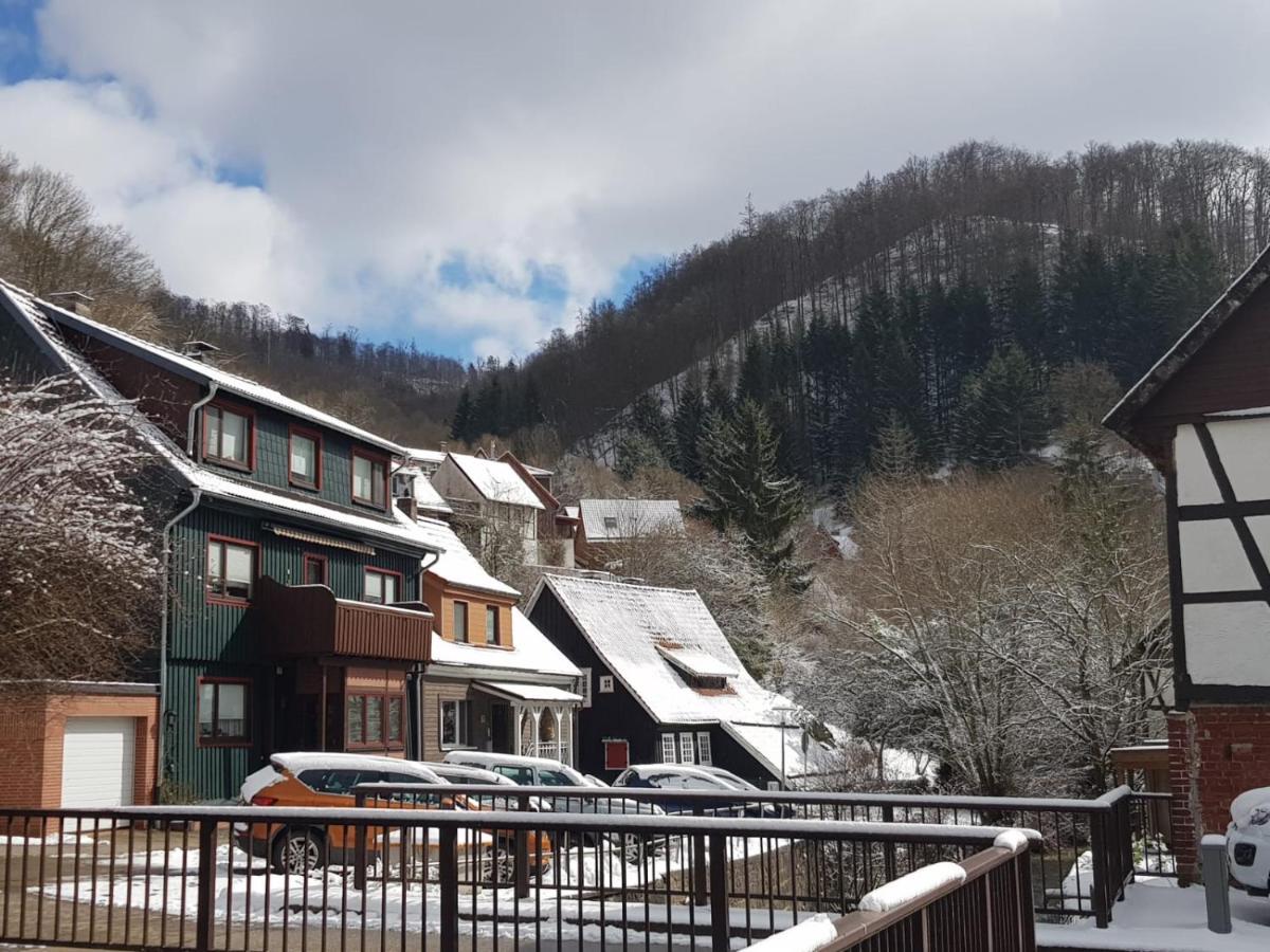 Ferienhaus Am Fluss Mit Traumhafter Dachterrasse ,Garten Und Grill Walkenried Exterior foto