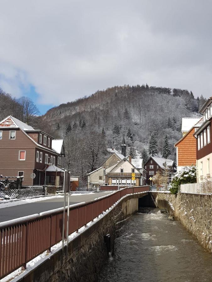 Ferienhaus Am Fluss Mit Traumhafter Dachterrasse ,Garten Und Grill Walkenried Exterior foto